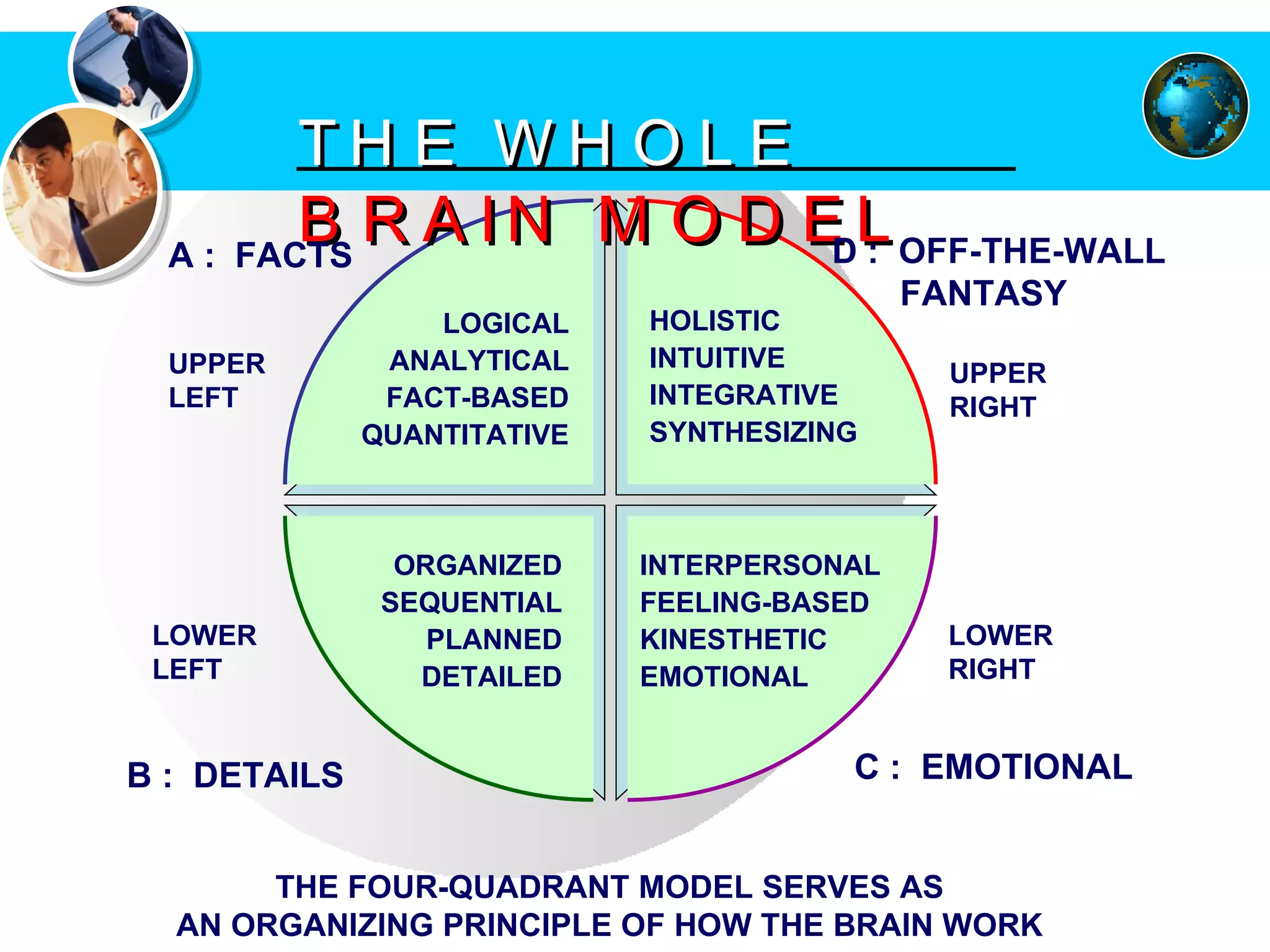 THE WHOLE  BRAIN MODEL LOGICAL ANALYTICAL FACT-BASED QUANTITATIVE HOLISTIC INTUITIVE INTEGRATIVE SYNTHESIZING ORGANIZED SEQUENTIAL PLANNED DETAILED A :  FACTS UPPER LEFT D :  OFF-THE-WALL  FANTASY UPPER RIGHT LOWER LEFT B :  DETAILS LOWER RIGHT  C :  EMOTIONAL THE FOUR-QUADRANT MODEL SERVES AS AN ORGANIZING PRINCIPLE OF HOW THE BRAIN WORK INTERPERSONAL FEELING-BASED KINESTHETIC EMOTIONAL 