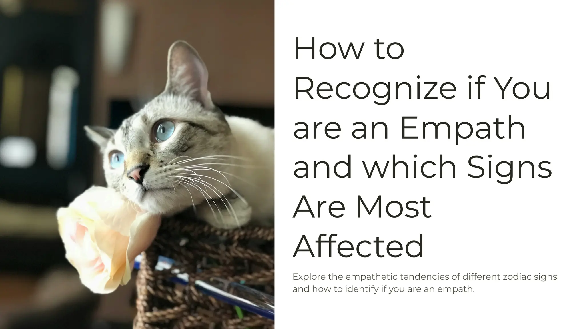 How to
Recognize if You
are an Empath
and which Signs
Are Most
Affected
Explore the empathetic tendencies of different zodiac signs
and how to identify if you are an empath.
 