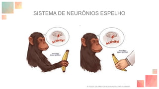 SISTEMA DE NEURÔNIOS ESPELHO
© TODOS OS DIREITOS RESERVADOS | TATI FUKAMATI
 