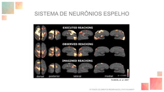 FILIMON, et. al. 2007
SISTEMA DE NEURÔNIOS ESPELHO
© TODOS OS DIREITOS RESERVADOS | TATI FUKAMATI
 