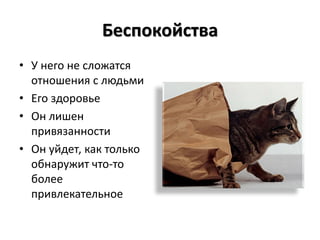 Беспокойства
• У него не сложатся
  отношения с людьми
• Его здоровье
• Он лишен
  привязанности
• Он уйдет, как только
  обнаружит что-то
  более
  привлекательное
 