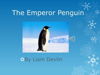 The Emperor Penguin




  By Liam Devlin
 