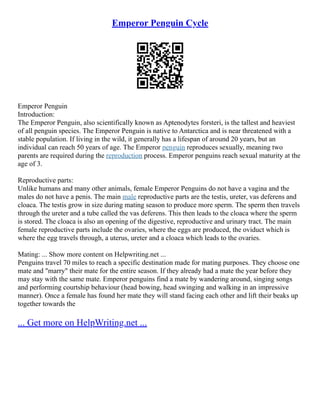 Emperor Penguin Cycle | PDF