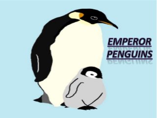 Emperor penguins-Title of
presentation.
 