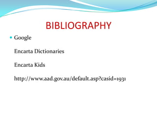 BIBLIOGRAPHYGoogleEncarta Dictionaries Encarta Kids http://www.aad.gov.au/default.asp?casid=1931