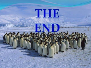 THE end