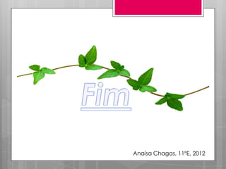 Anaísa Chagas, 11ºE, 2012
 