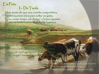 Mais morta do que viva, a minha companheira
Nem força teve em si para soltar um grito;
E eu, nesse tempo, um destro1
e bravo rapazito,
Como um homenzarrão servi-lhe de barreira!
Em meio de arvoredo, azenhas e ruínas,
Pulavam para a fonte as bezerrinhas brancas;
E, tetas a abanar, as mães, de largas ancas,
Desciam mais atrás, malhadas e turinas2
.
Do seio do lugar - casitas com postigos -
Vem-nos o leite. Mas batizam-no3
primeiro.
Leva-o, de madrugada, em bilhas, o leiteiro,
Cujo pregão4
vos tira ao vosso sono, amigos!
1. destro: ágil; hábil
2. Turinas: diz-se de uma raça de gado bovino
3. Batizam-no: adicionam-lhe água
4. Pregão: anúncio público feito em voz alta
Em Petiz
I – De Tarde
 
