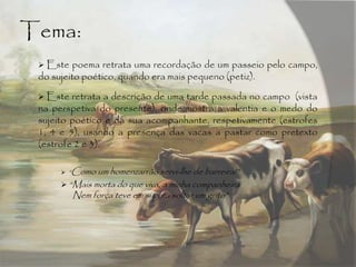Tema:
 Este poema retrata uma recordação de um passeio pelo campo,
do sujeito poético, quando era mais pequeno (petiz).
 Este retrata a descrição de uma tarde passada no campo (vista
na perspetiva do presente), onde mostra a valentia e o medo do
sujeito poético e da sua acompanhante, respetivamente (estrofes
1, 4 e 5), usando a presença das vacas a pastar como pretexto
(estrofe 2 e 3).
 “Como um homenzarrão servi-lhe de barreira!”
 “Mais morta do que viva, a minha companheira
Nem força teve em si para soltar um grito”
 