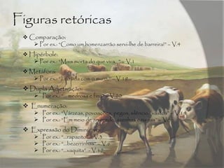 Figuras retóricas
 Comparação:
 Por ex.: “Como um homenzarrão servi-lhe de barreira!” – V.4
 Hipérbole:
 Por ex.: “Mais morta do que viva…” – V.1
 Metáfora:
 Por ex.: “…cosida com o muro,” – V.19
 Dupla Adjetivação:
 Por ex.: “… medrosa e fina” – V.20
 Enumeração:
 Por ex.: “Várzeas, povoações, pegos, silêncios vastos” – V.14
 Por ex.: “Em meio de arvoredo, azenhas e ruínas” – V.5
 Expressão do Diminutivo:
 Por ex.: “…rapazito” – V.3
 Por ex.: “…bezerrinhas” – V.6
 Por ex.: “…vaquita” - V.17
 