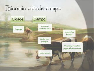 Binómio cidade-campo
Cidade
Rapariga
Campo
arvoredo,
azenhas e ruínas
bezerrinhas
brancas
casitas com
postigos
Várzeas, povoações,
pegos, silêncios vastos
fartos animais
 