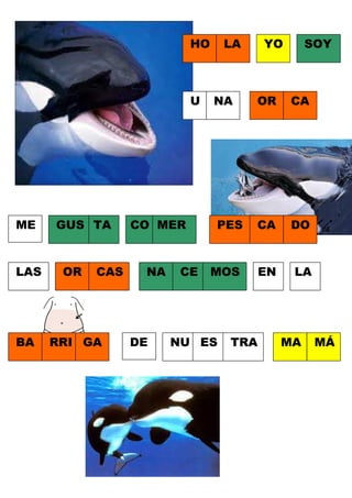 HO

U

ME

LAS

BA

GUS TA

OR

CAS

RRI GA

CO MER

NA

DE

CE

LA

YO

SOY

NA

OR

CA

PES

CA

DO

MOS

EN

LA

NU ES

TRA

MA

MÁ

 