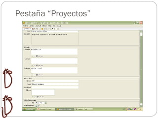 Pestaña “Proyectos” 