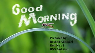 Prepared by:
Roshna Adhikari
Roll No : 1
BNS 2nd Year
 