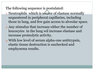The following sequence is postulated:
1. Neutrophils which is source of elastase normally
   sequestered in peripheral capillaries, including
   those in lung, and few gain access to alveolar space.
2. Any stimulus that increase either the number of
   leucocytes in the lung wil increase elastase and
   increase proteolytic activity.
3. With low level of serum alpha-one antitrypsin,
   elastic tissue destruction is unchecked and
   emphysema results.
 