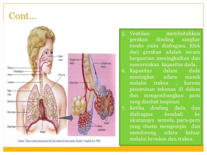 Emphysema paru