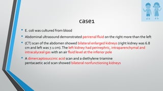 case1
• E. coli was cultured from blood
• Abdominal ultrasound demonstrated perirenal fluid on the right more than the left
• (CT) scan of the abdomen showed bilateral enlarged kidneys (right kidney was 6.8
cm and left was 7.1 cm).The left kidney had perinephric, intraparenchymal and
intracalyceal gas with an air fluid level at the inferior pole
• A dimercaptosuccinic acid scan and a diethylene triamine
pentacaetic acid scan showed bilateral nonfunctioning kidneys
 