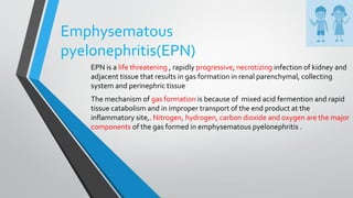 Emphysematous
pyelonephritis(EPN)
EPN is a life threatening , rapidly progressive, necrotizing infection of kidney and
adjacent tissue that results in gas formation in renal parenchymal, collecting
system and perinephric tissue
The mechanism of gas formation is because of mixed acid fermention and rapid
tissue catabolism and in improper transport of the end product at the
inflammatory site,. Nitrogen, hydrogen, carbon dioxide and oxygen are the major
components of the gas formed in emphysematous pyelonephritis .
 