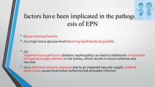 factors have been implicated in the pathogen-
esis of EPN
• (i) gas-forming bacteria
• (ii) a high tissue glucose level (favoring rapid bacterial growth)
• (iii)
impaired tissue perfusion (diabetic nephropathy can lead to additional compromise
of regional oxygen delivery in the kidney, which results in tissue ischemia and
necrosis
• (iv) a defective immune response due to an impaired vascular supply. Ureteral
obstruction causes local tissue ischemia that provokes infection
 