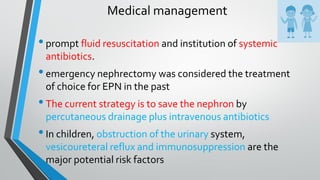 Medical management
•prompt fluid resuscitation and institution of systemic
antibiotics.
•emergency nephrectomy was considered the treatment
of choice for EPN in the past
•The current strategy is to save the nephron by
percutaneous drainage plus intravenous antibiotics
•In children, obstruction of the urinary system,
vesicoureteral reflux and immunosuppression are the
major potential risk factors
 