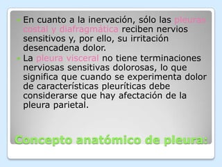 Concepto anatómico de pleura:En cuanto a la inervación, sólo las pleuras costal y diafragmática reciben nervios sensitivos y, por ello, su irritación desencadena dolor.La pleura visceral no tiene terminaciones nerviosas sensitivas dolorosas, lo que significa que cuando se experimenta dolor de características pleuríticas debe considerarse que hay afectación de la pleura parietal.