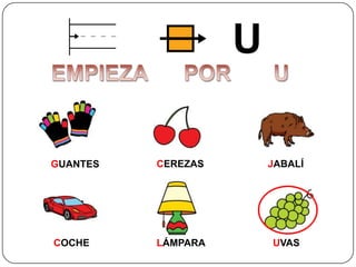 GUANTES CEREZAS JABALÍ
COCHE LÁMPARA UVAS
 