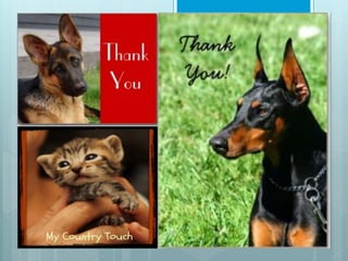 Empire state building presentation