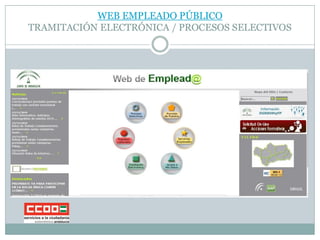 nica bolsas website