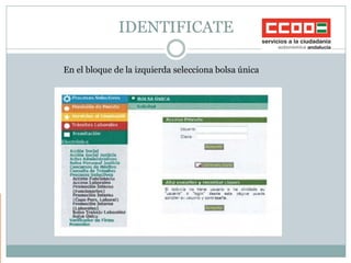 nica bolsas website