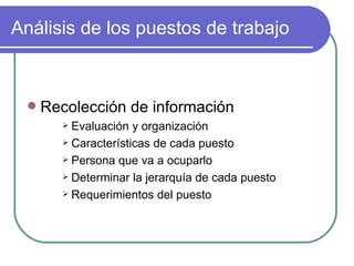 Análisis de los puestos de trabajo Recolección de información Evaluación y organización Características de cada puesto Persona que va a ocuparlo Determinar la jerarquía de cada puesto Requerimientos del puesto 
