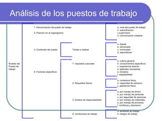 Análisis de los puestos de trabajo Análisis de los puestos de trabajo 
