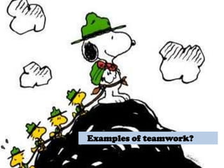 Examples of teamwork?
 