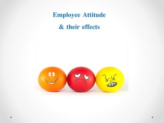 Employee Attitude
& their effects
 