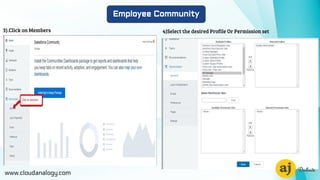www.cloudanalogy.com
Employee Community
3).Click on Members 4)Select the desired Profile Or Permission set
 