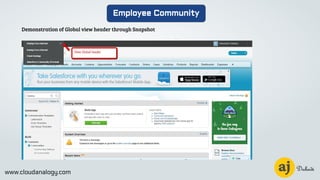 www.cloudanalogy.com
Employee Community
Demonstration of Global view header through Snapshot
 