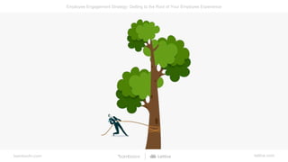 bamboohr.com lattice.com
Employee Engagement Strategy: Getting to the Root of Your Employee Experience
 