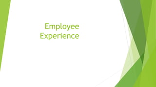 Employee
Experience
 