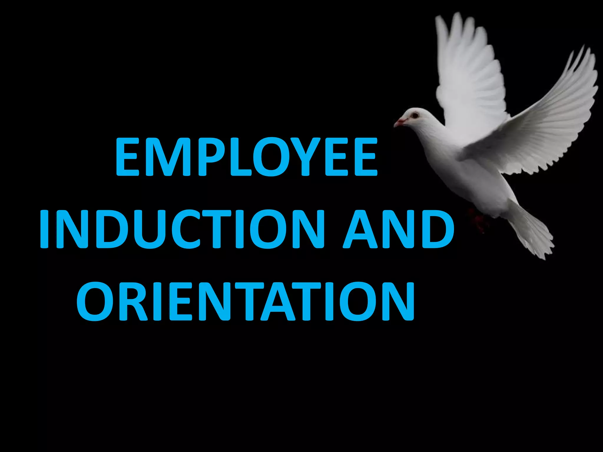 EMPLOYEE
INDUCTION AND
ORIENTATION