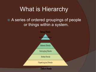 What is HierarchyA series of ordered groupings of people or things within a system.
