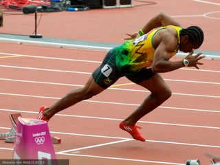 Wikipedia Nick Webb CC BY 2.0
 