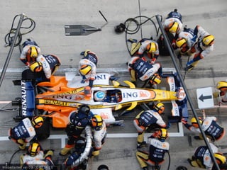 Wikipedia Bert van Dijk CC BY SA 2.0
 