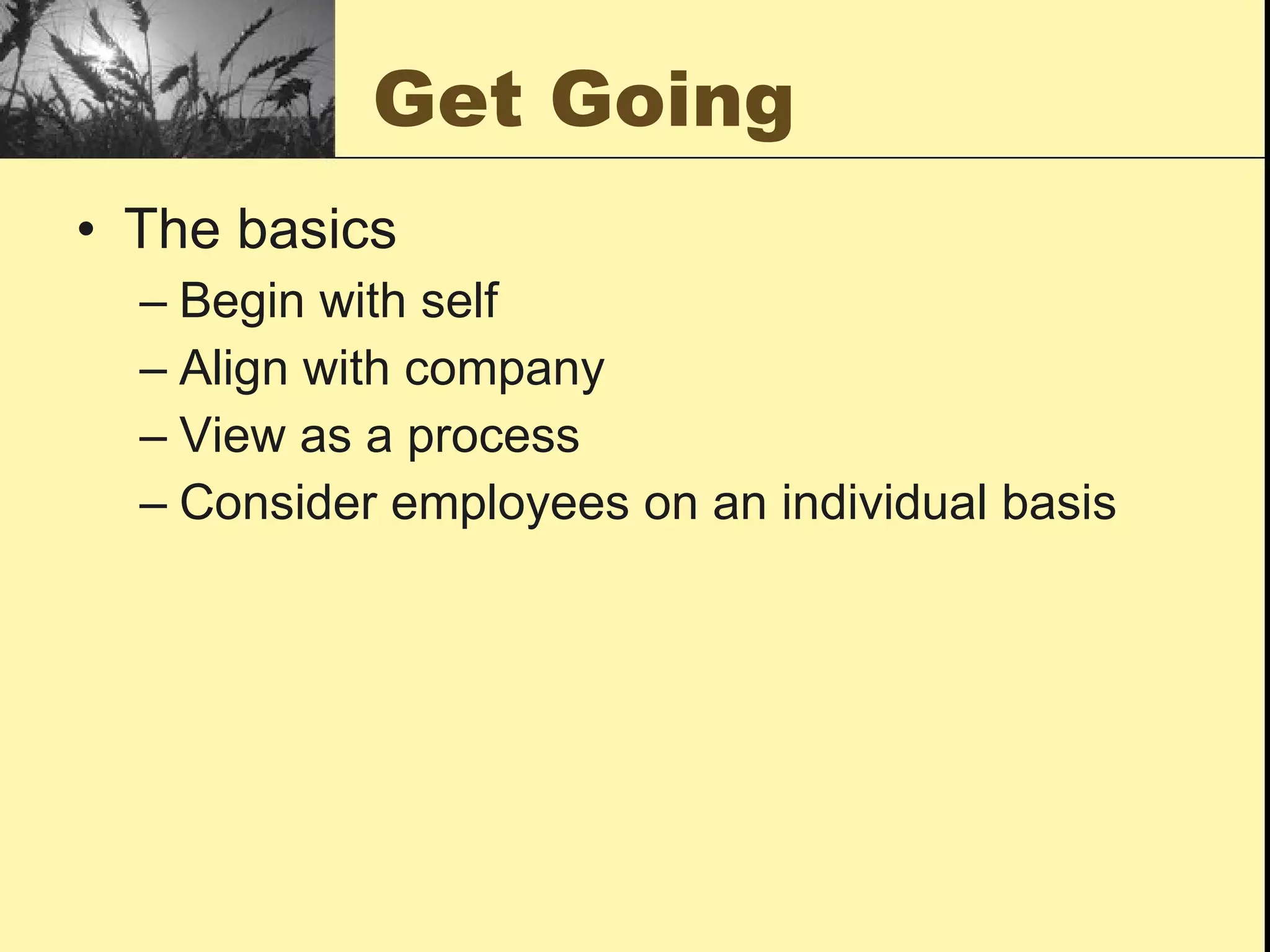 Get Going The basics Begin with self Align with company View as a process Consider employees on an individual basis 