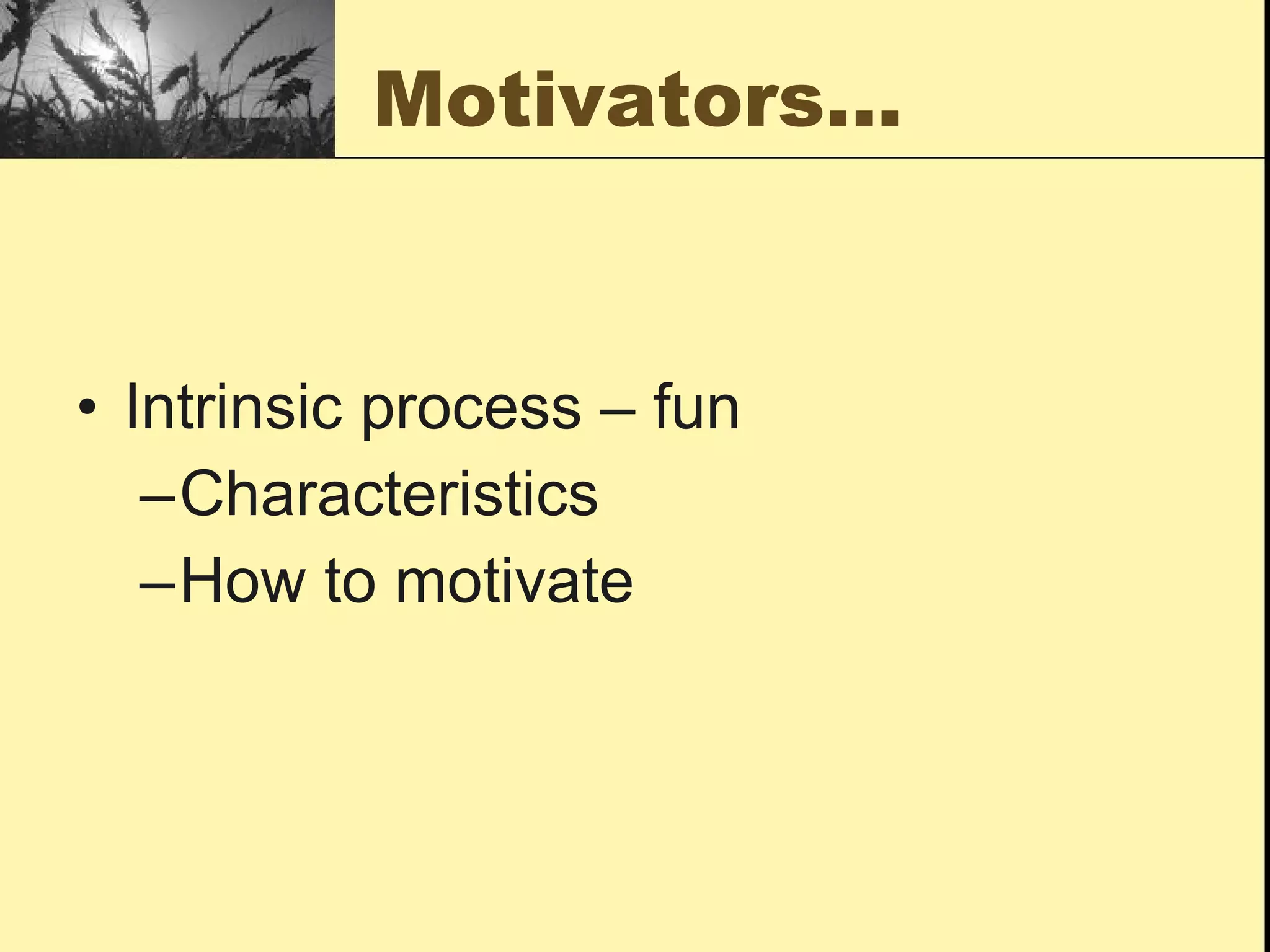 Motivators… Intrinsic process – fun Characteristics  How to motivate 