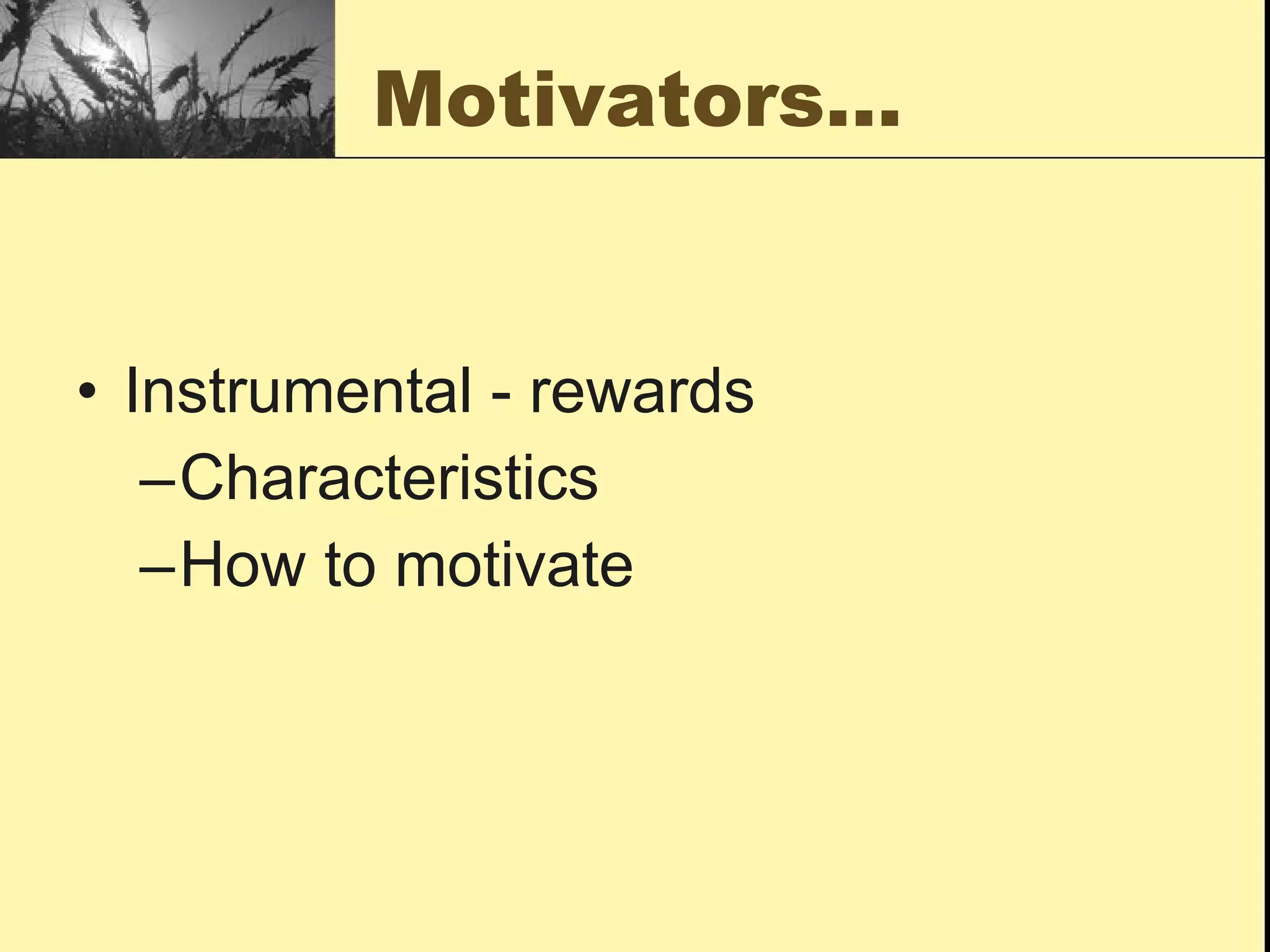 Motivators… Instrumental - rewards Characteristics  How to motivate 