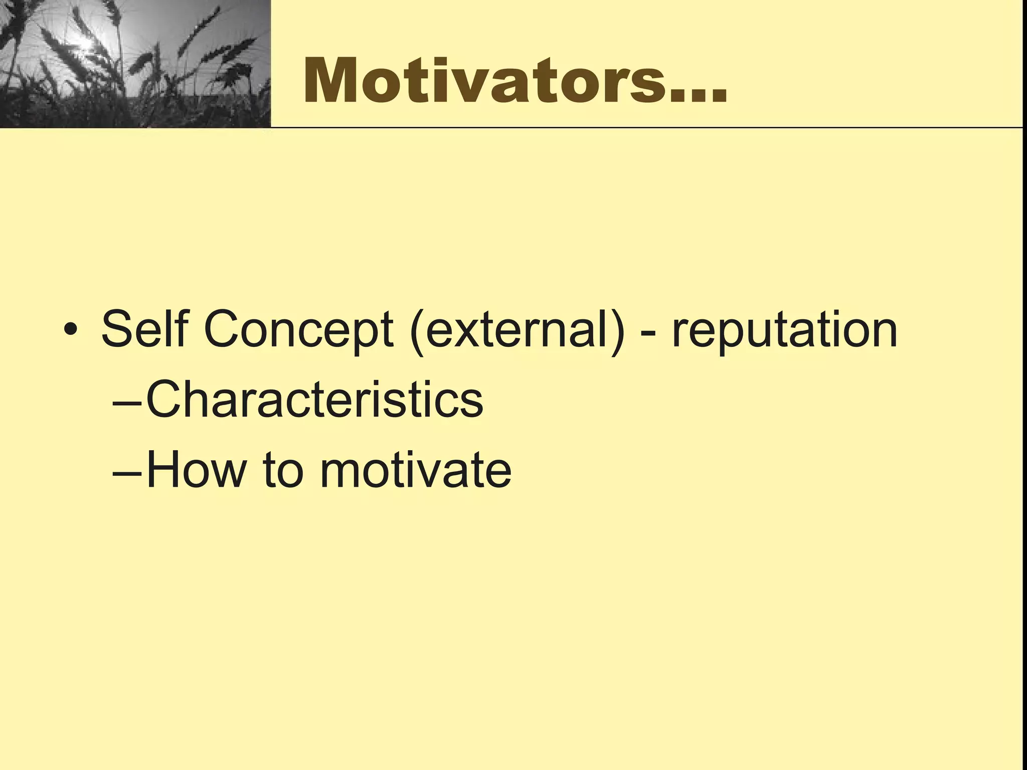 Motivators… Self Concept (external) - reputation Characteristics  How to motivate 