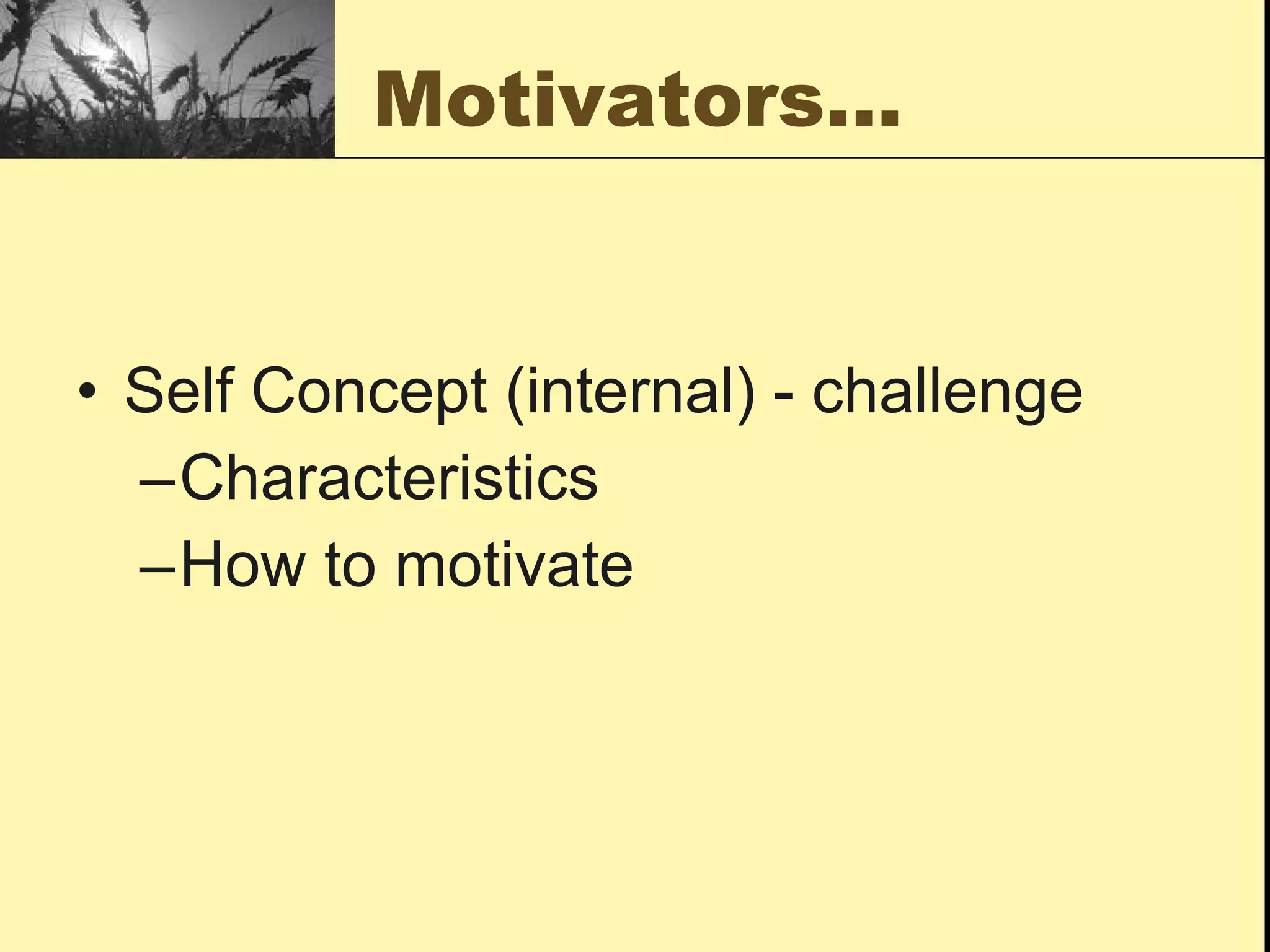 Motivators… Self Concept (internal) - challenge Characteristics  How to motivate 