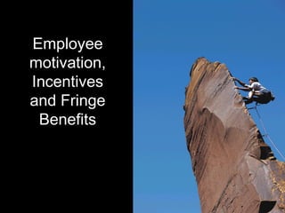 Employee
motivation,
Incentives
and Fringe
Benefits

 