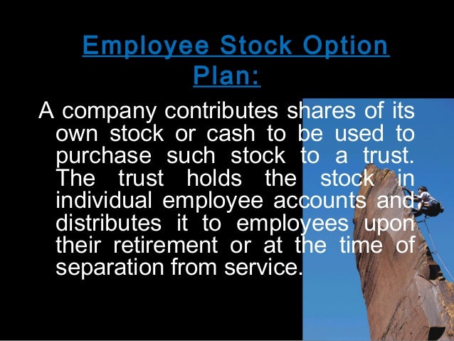 Cashing in employee stock options