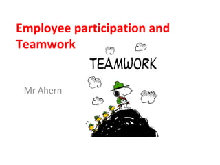 Employee participation and
Teamwork
Mr Ahern

 
