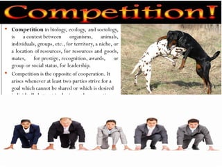  Competition in biology, ecology, and sociology,
is a contest between organisms, animals,
individuals, groups, etc., for territory, a niche, or
a location of resources, for resources and goods,
mates, for prestige, recognition, awards, or
group or social status, for leadership.
 Competition is the opposite of cooperation. It
arises whenever at least two parties strive for a
goal which cannot be shared or which is desired
individually but not in sharing and cooperation
 